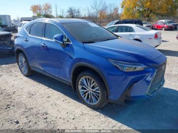  Salvage Lexus NX