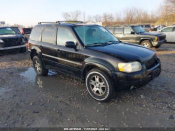  Salvage Ford Escape