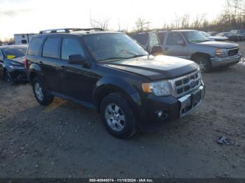  Salvage Ford Escape