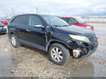  Salvage Kia Sorento