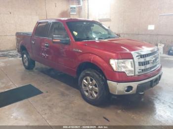  Salvage Ford F-150