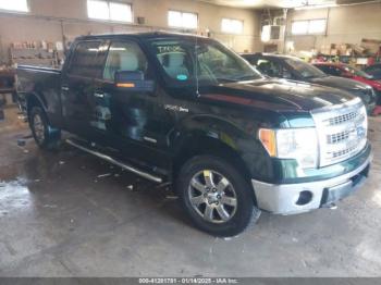  Salvage Ford F-150