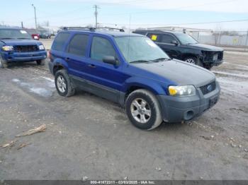  Salvage Ford Escape