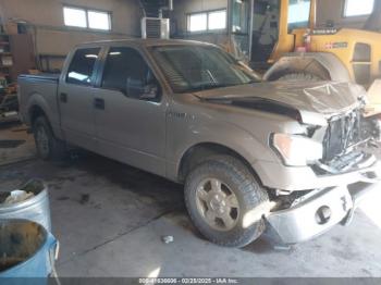  Salvage Ford F-150