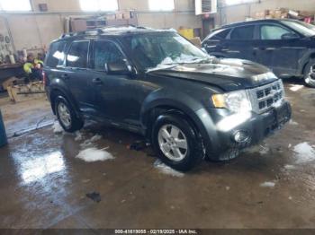  Salvage Ford Escape