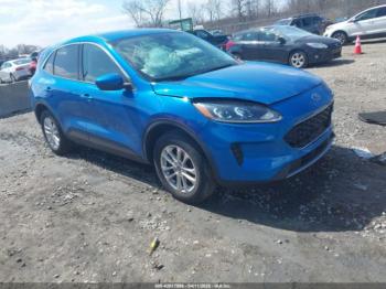  Salvage Ford Escape