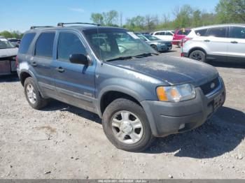 Salvage Ford Escape