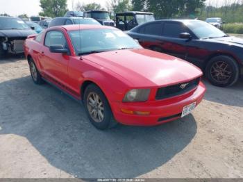  Salvage Ford Mustang