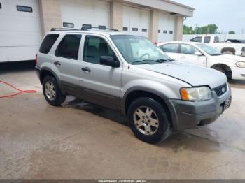 Salvage Ford Escape