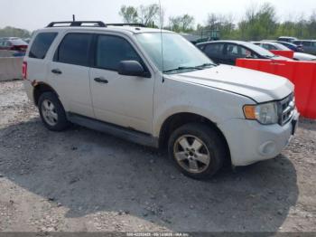  Salvage Ford Escape