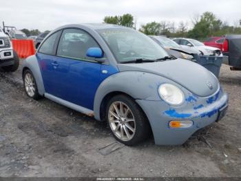  Salvage Volkswagen Beetle
