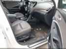 Hyundai SANTA FE Limited Ultimate Image 7