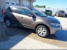 Nissan Murano Sv Image 1