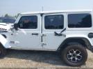 Jeep Wrangler Rubicon 4x4 Image 14