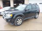 Ford Escape Limited Image 7