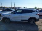 Kia Seltos Lx Image 2