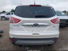 Ford Escape Se Image 16