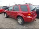Ford Escape Limited Image 4