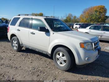  Salvage Ford Escape
