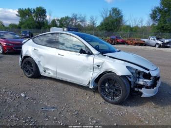  Salvage Tesla Model Y