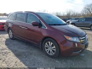  Salvage Honda Odyssey