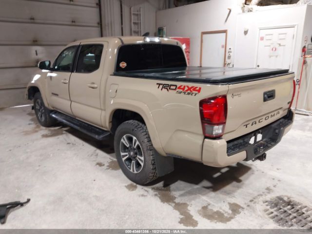 Toyota Tacoma Trd Sport Image 12