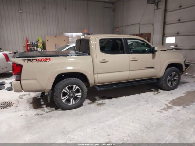 Toyota Tacoma Trd Sport Image 5