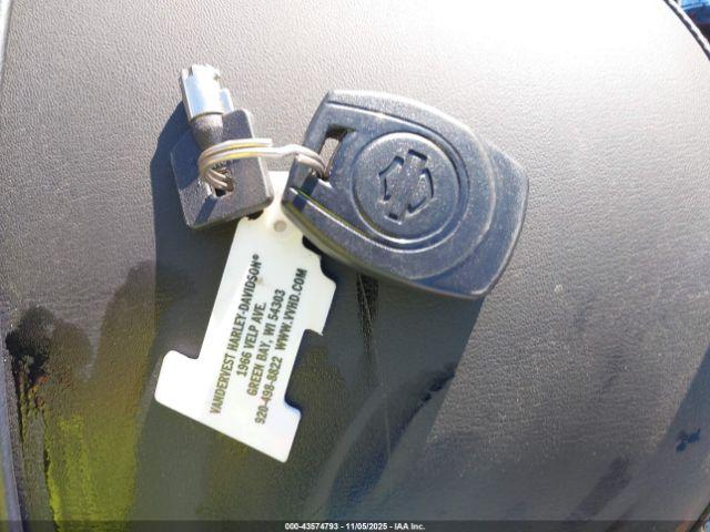 Harley-Davidson Flhx Image 3