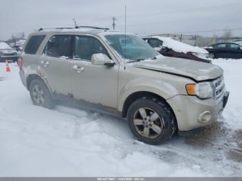  Salvage Ford Escape