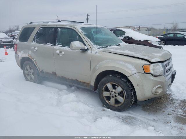  Salvage Ford Escape
