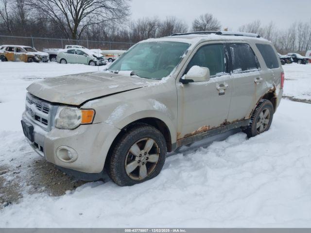 Ford Escape Limited Image 9