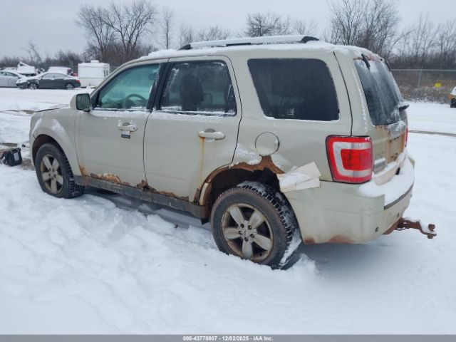 Ford Escape Limited Image 10