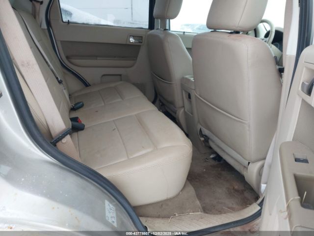 Ford Escape Limited Image 6