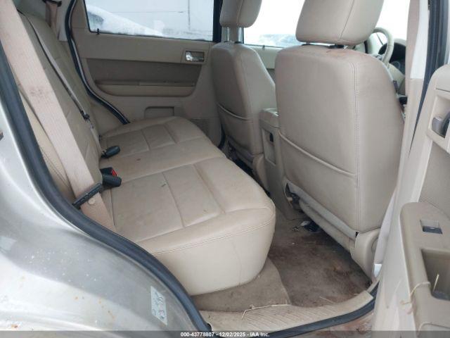 Ford Escape Limited Image 6