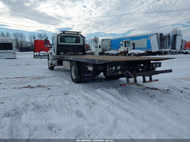 International Mv Image 16