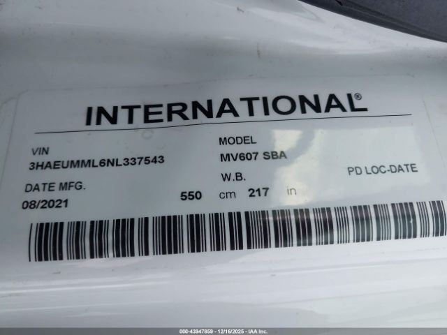 International Mv Image 2