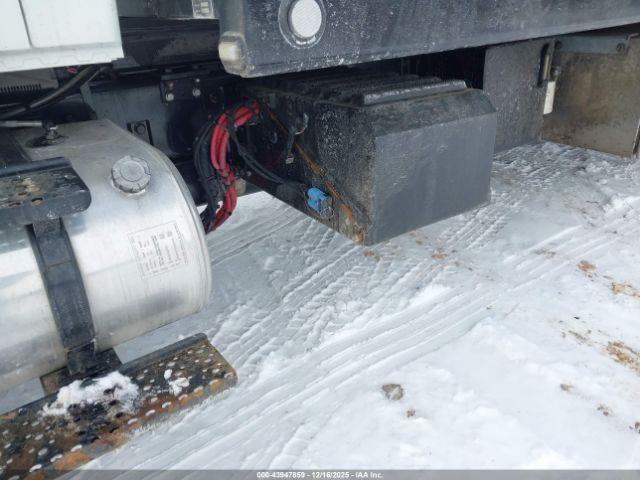 International Mv Image 8