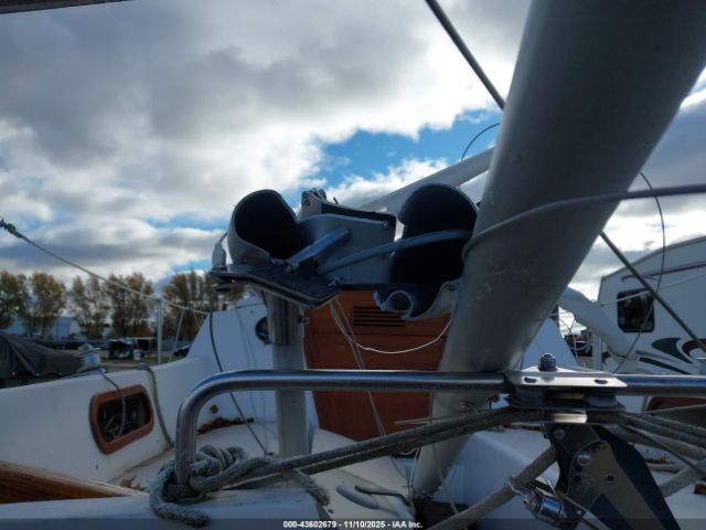 Catalina Other Image 4