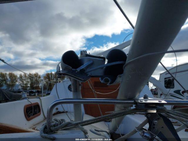 Catalina Other Image 4