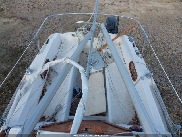 Catalina Other Image 10