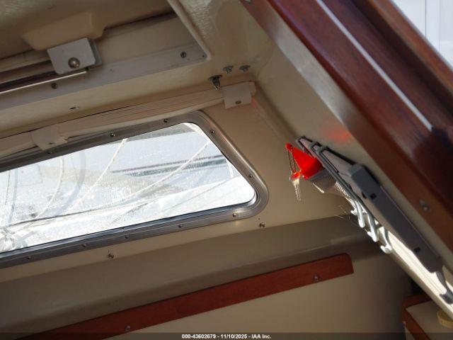 Catalina Other Image 7