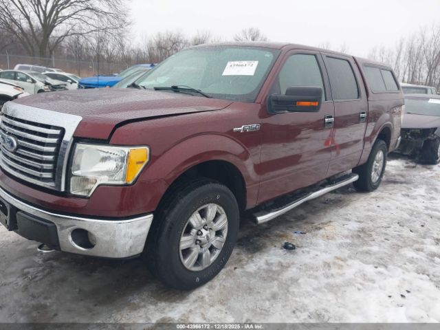 Ford F-150 Image 8