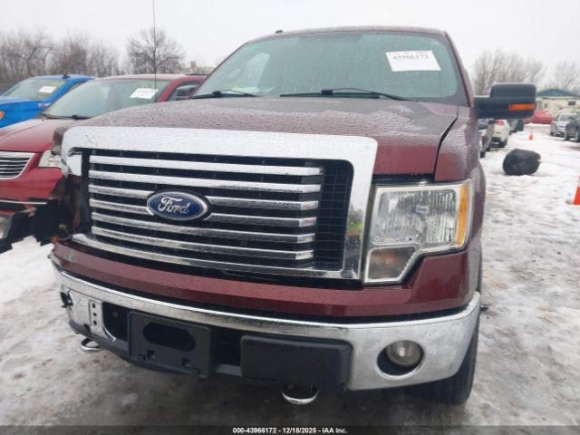 Ford F-150 Image 4