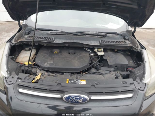 Ford Escape Se Image 7