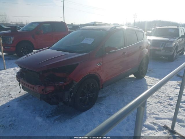 Ford Escape Titanium Image 5