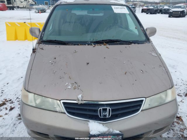 Honda Odyssey Ex Image 4