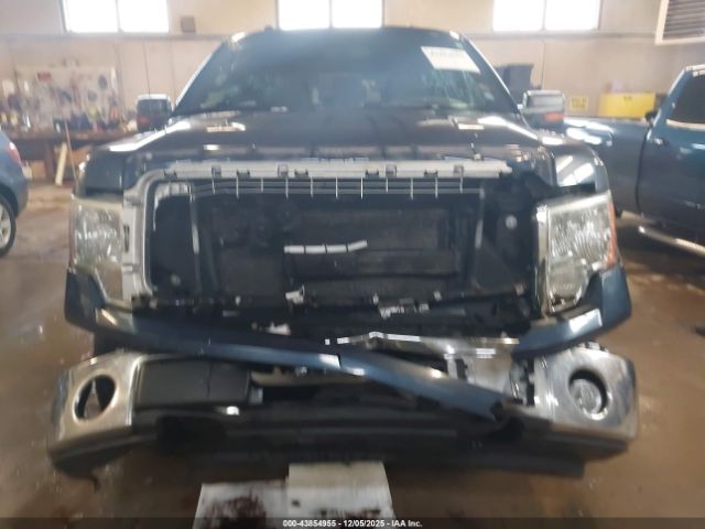 Ford F-150 Xlt Image 4