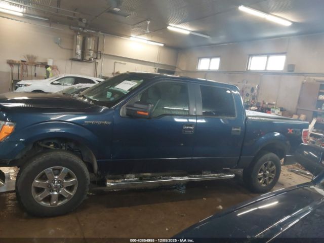 Ford F-150 Xlt Image 13