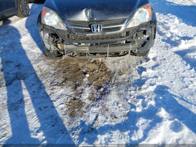 Honda CR-V Lx Image 12