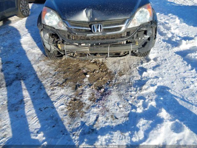 Honda CR-V Lx Image 12